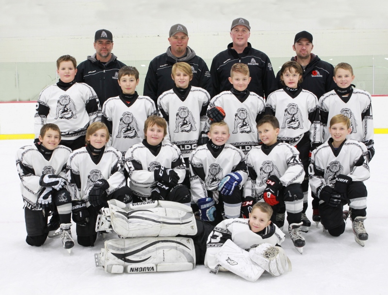 Irvine Minor Hockey Powered by GOALLINE